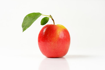 fresh red apple