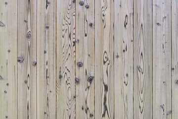 Fototapeta premium wooden wall, wood texture background.
