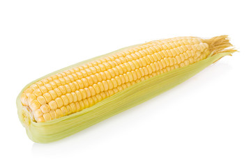 Corn on white background