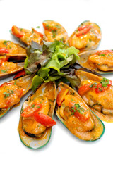 Asian green mussel