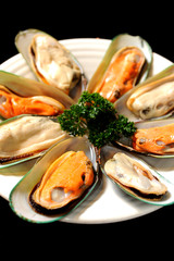 Asian green mussel