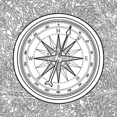 Graphic wind rose compass 