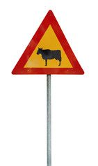 Attention crossing cows red and yellow road sign