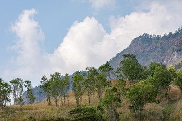 Fototapeta na wymiar View scenic mountain landscape thailand