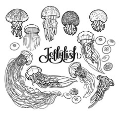 Fototapeta premium Jellyfish in line art style