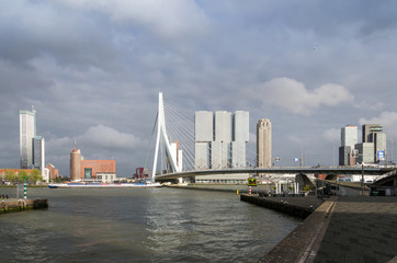Fototapeta na wymiar Erasmus Bridge with Skyscraper in Rotterdam