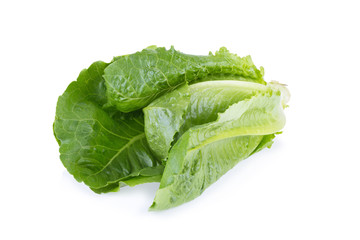 Cos Lettuce Isolated on White Background