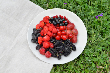 Fresh summer berries on plate. Top view. Rustic style. © lesichkadesign