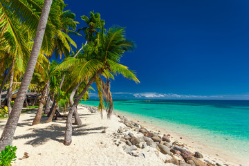 Beach with coconut palm trees and clear lagoon on Fiji Islands
