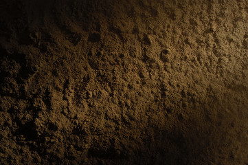 cinnamon powder