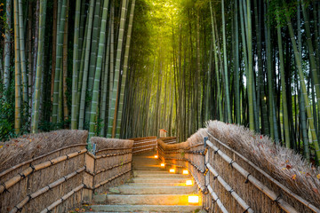 Fototapeta premium Las bambusowy Arashiyama