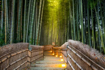 Foto op Aluminium Arashiyama Bamboebos © vichie81
