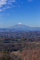 湘南平付近から見た富士山