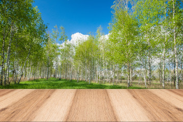 Empty wooden table with landscape background