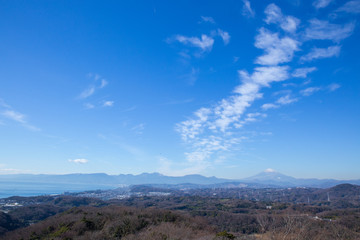 Fototapeta premium 青空と雲