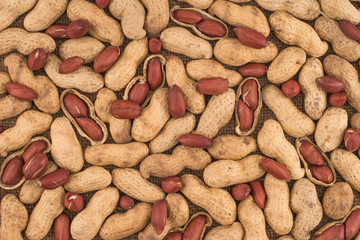 Peanuts seed placed on Peanuts.