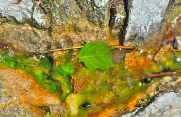 Multi-colored water 11