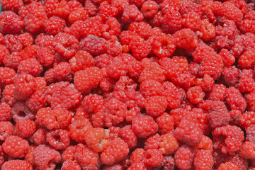 Berries of raspberry 5