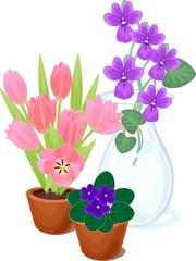 Flowers in pots