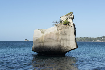 Fototapeta na wymiar Túnel de roca en la playa de Cathedral Cove, Isla Norte de Nueva Zelanda