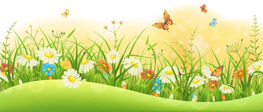 Summer floral banner with green grass, flowers and butterflies