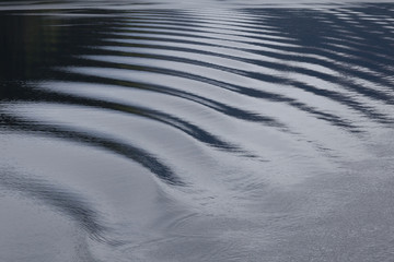 Water ripple
