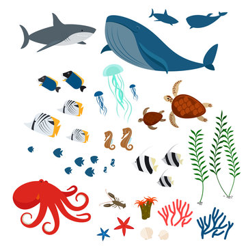 Ocean animals, sea fauna and sea fishes. Ocean fauna icons on white background. Vector illustration