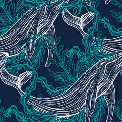 Fototapeta premium Seamless pattern with whale, marine plants and seaweeds.Vintage set of black and white hand drawn marine life.Isolated vector illustration in line art style.Design for summer beach, decorations.