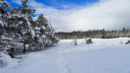 Rural Winter Countryside View