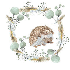 Hedgehog in a wreath. Branches and feathers in a wreath and a hedgehog. the range of decorative branches. Watercolor painting. Can be used for postcards, prints and design   - 104064996