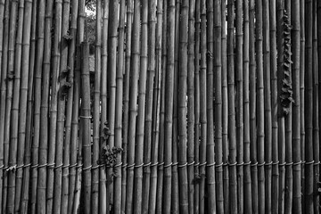 abstract bamboo wall