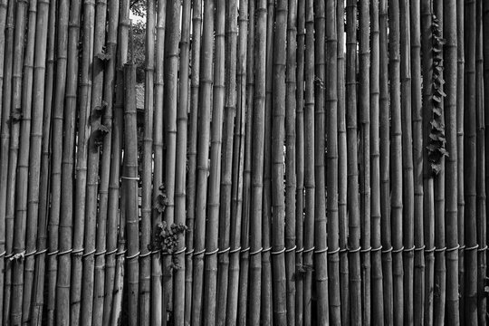 abstract bamboo wall