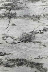 abstract granite texture