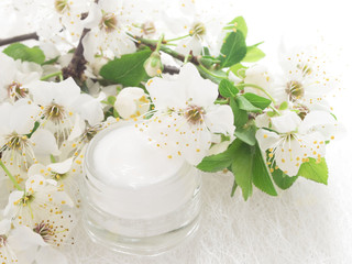 Obraz na płótnie Canvas natural facial cream with spring blossom, fresh as spring flowers