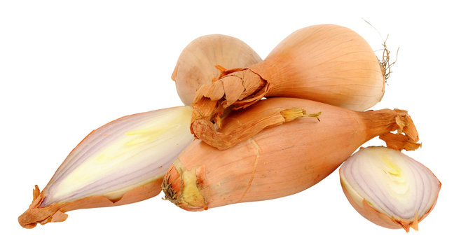 Echalion Shallots