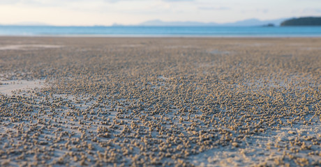 Low tide on the beach