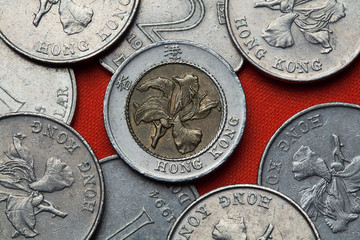 Coins of Hong Kong