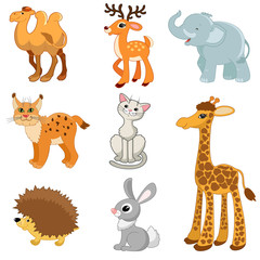 elephant, lynx, cat, giraffe, hedgehog, hare, camel, deer