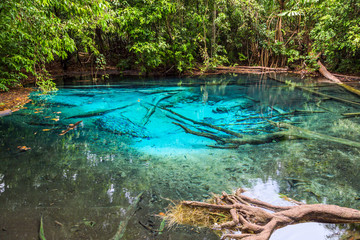 tropical Lake in jungle