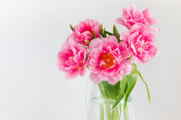 Pink tulips in a glass jar