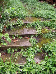 romantische Gartentreppe