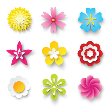 vector flowers set