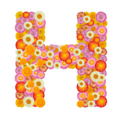 Letter H alphabet with straw flower isolated on white background