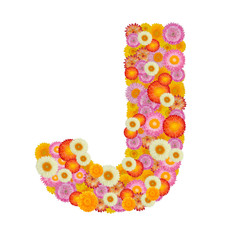 Letter J alphabet with straw flower isolated on white background