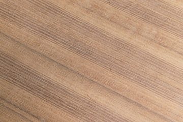 wood texture Teak