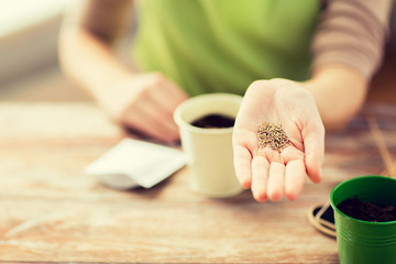 close up of woman hand holding seeds