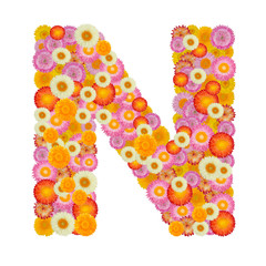 Letter N alphabet with straw flower isolated on white background