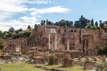 Fototapeta na wymiar Ancient Roman Forum View