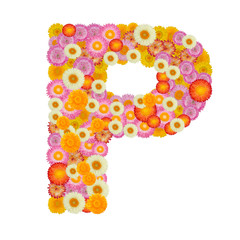 Letter P alphabet with straw flower isolated on white background