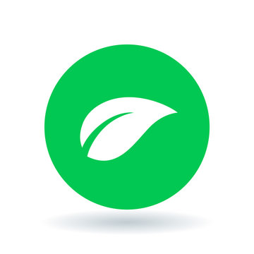 Leaf icon. Leaf sign. Leaf symbol. White leaf icon on green circle background. Vector illustration.